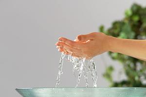 Lフコースのフコイダンを扱う会社